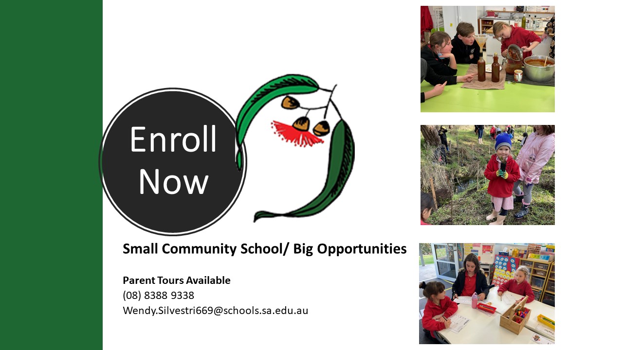Enrol Now